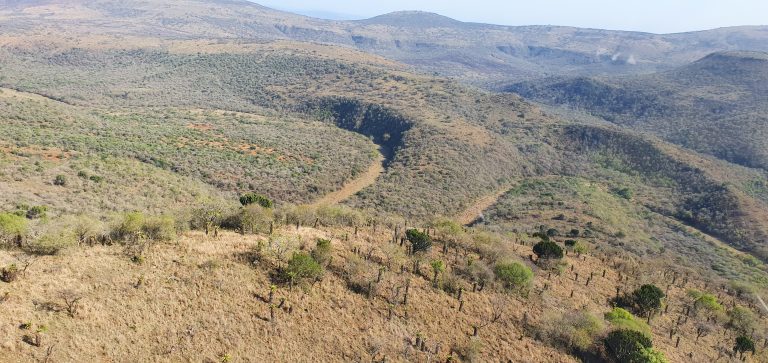 20201017 080432 768x363